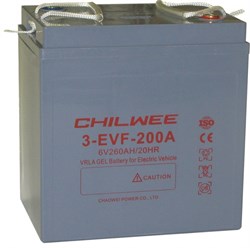 Chilwee 3-EVF-200A - Тяговый аккумулятор, GEL - фото 15927