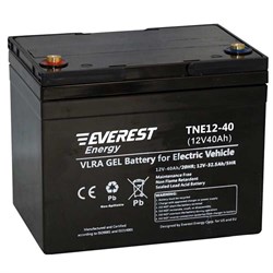 Everest TNE 12-40 - тяговый гелевый аккумулятор