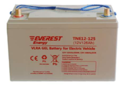 Everest TNE 12-125 (12В, 106Ач) - тяговый гелевый аккумулятор - фото 22251