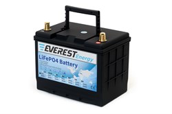 Everest Energy 24V40А -тяговый литиевый аккумулятор Everest Energy 24V40А