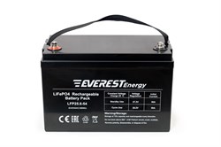 Everest Energy 24V54А - литиевый тяговый аккумулятор