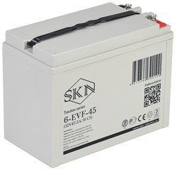 SKN 6-EVF-45 - тяговый аккумулятор