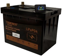 Everest Energy LFP-24V60Аh (LCD + Bluetooth) - литиевый тяговый аккумулятор