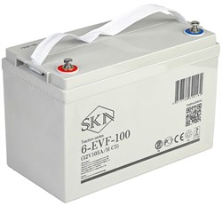 SKN 6-EVF-100 - тяговый аккумулятор (12V105A/H C5) 025387 - фото 34004