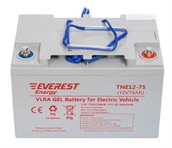 Everest Energy TNE 12-75 - тяговый аккумулятор