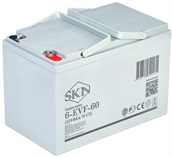 SKN 6-EVF-60 - тяговый аккумулятор (12V64A/H C5) 025392 - фото 34549