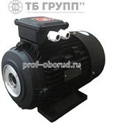 TOR H112 HP 5.5 4P MA AC KW4 4P - электродвигатель (мотор) для помпы высокого давления - копия