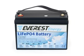 Everest Energy 24V120А (60A+60A)- литиевый тяговый аккумулятор