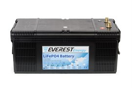 Everest Energy 24V160А- литиевый тяговый аккумулятор