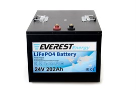 Everest Energy 24V202А- литиевый тяговый аккумулятор