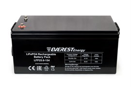 Everest Energy 24V154А- литиевый тяговый аккумулятор