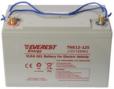 Everest TNE 12-125 - тяговый гелевый аккумулятор