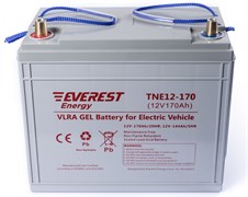 Everest TNE 12-125 - тяговый гелевый аккумулятор