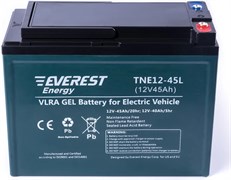 Everest TNE 12-45L - тяговый гелевый аккумулятор