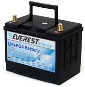 Everest Energy 24V40А - литиевый тяговый аккумулятор