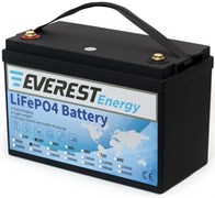 Everest Energy 24V50Аh - литиевый тяговый аккумулятор