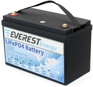 Everest Energy 24V60Аh - литиевый тяговый аккумулятор