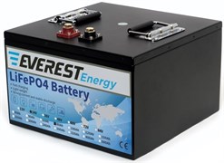 Everest Energy 24V80Аh - литиевый тяговый аккумулятор