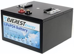 Everest Energy 24V100Аh - литиевый тяговый аккумулятор