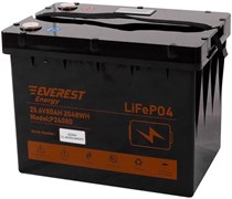 Everest Energy LFP-24V80Аh (Bluetooth) - литиевый тяговый аккумулятор