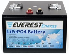 Everest Energy LFP-36V300Аh - литиевый тяговый аккумулятор