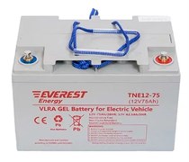 Everest Energy TNE 12-75 - тяговый аккумулятор