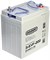 Gelbert 3-EVF-200 - тяговый аккумулятор (6V215A/H C5) 025369 - фото 34553